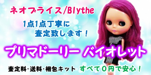 トイザらス限定 ネオブライス キュートアンドキュリアス 中古品 開封品 